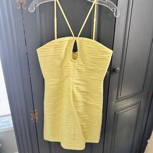 Shona Joy Mini Dress